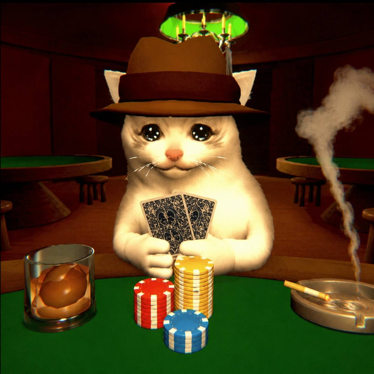 Mr Take Yo Bitch: a white cat in a fedora holding cards at a poker table